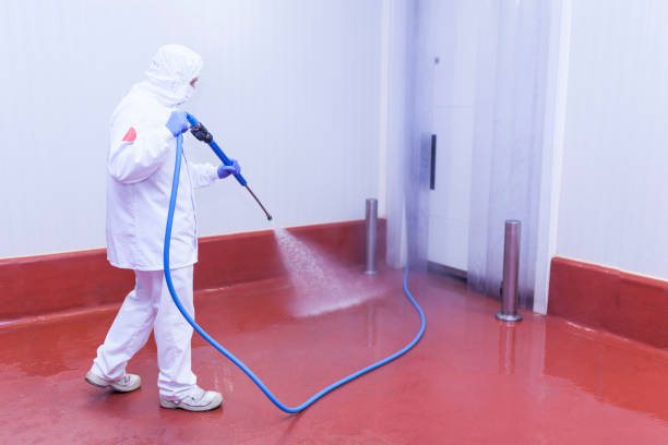 Best Sign and Awning Cleaning  in El Lago, TX